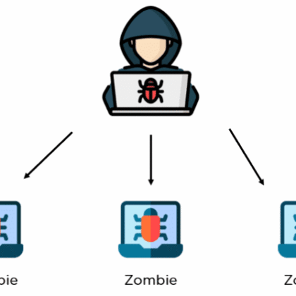 BOTNET-LESSONS-768x447