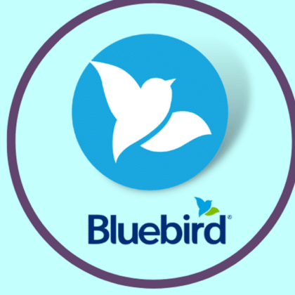 Buy Bluebird bank 2 year aged Account + VCC
